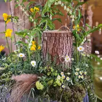 Floristik_Impression_20220429_134027