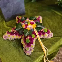 Floristik_Impression_20220513_103703