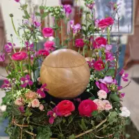 Floristik_Impression_20230130_102632