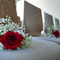 Floristik_Impression_20230414_095351