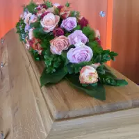 Floristik_Impression_P1520272